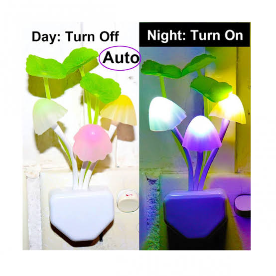 Mushroom Night Light